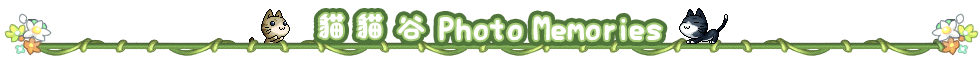 相簿